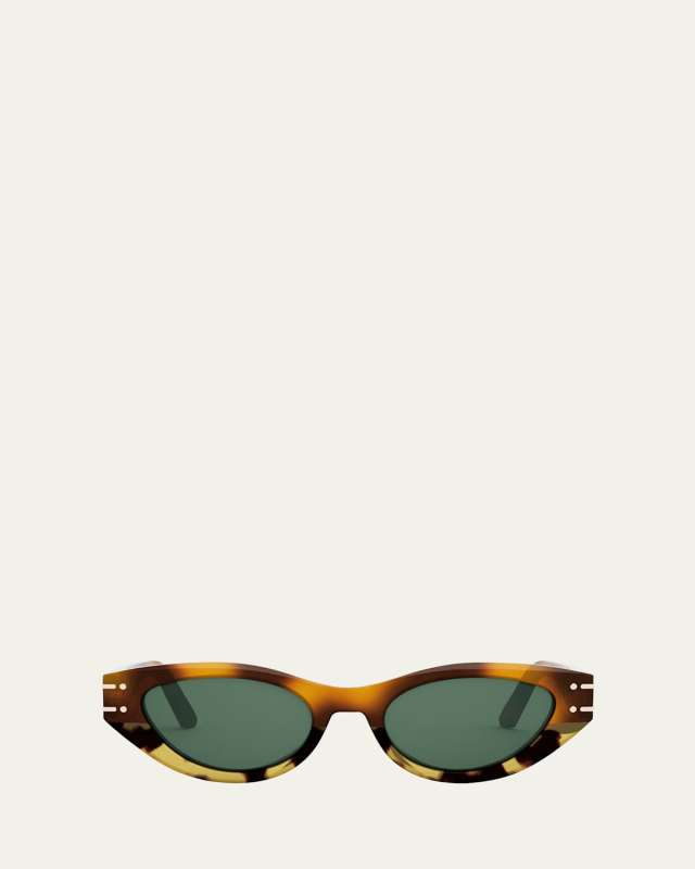 DiorSignature B5I Sunglasses